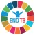 TB Report