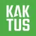 Kaktus.media