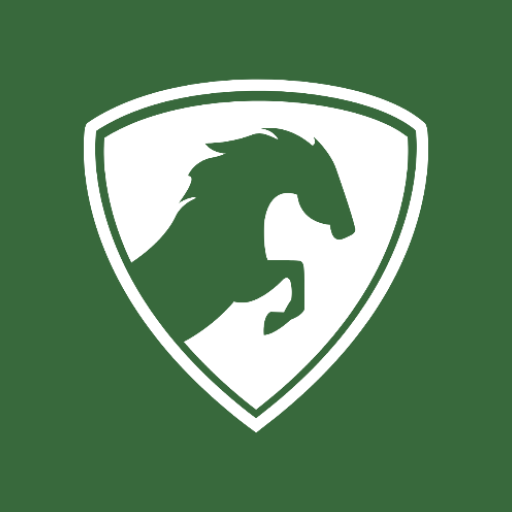 Kayo VPN