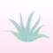 Aloe Vera - Vegan Guide