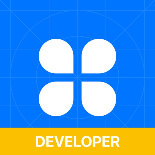 AppMaster Developer