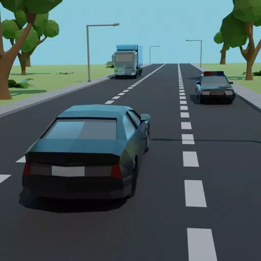 Wrong Way Driver Wrong Way Driver