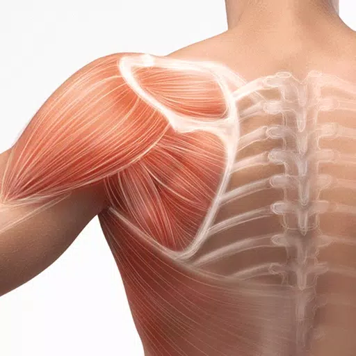 Anatomy Master Anatomy Master