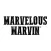 Marvelous Marvin Boxing