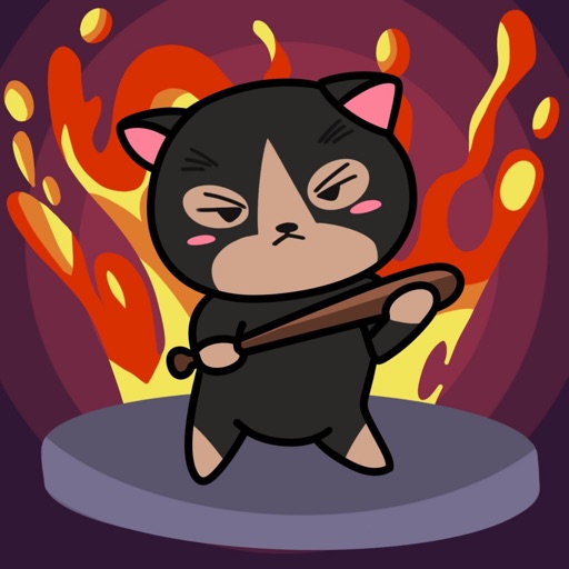 Cat Arena Cat Arena