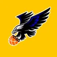 Halcones Arroyofresno