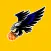 Halcones Arroyofresno