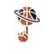 SportsFeed