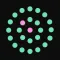 Crowd Compass Companion App