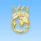 Miss World (MW)