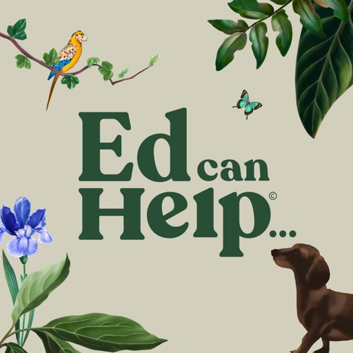 PTSD & Trauma Aid: Ed can Help PTSD & Trauma Aid: Ed can Help
