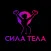 СИЛА ТЕЛА