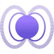 Polar - The Learning App