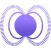 Polar - The Learning App