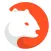 Wombat: Play, Earn, Connect