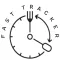 iFast - Simple Fast Tracker