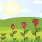 RoseGarden