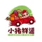 小猪鲜道