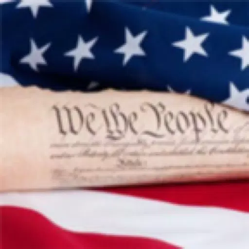 The Valentine Constitution App