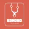 BONOBO TRAINING