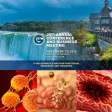 OAG 2019 Annual Conference