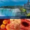 OAG 2019 Annual Conference