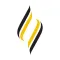 Avondale University