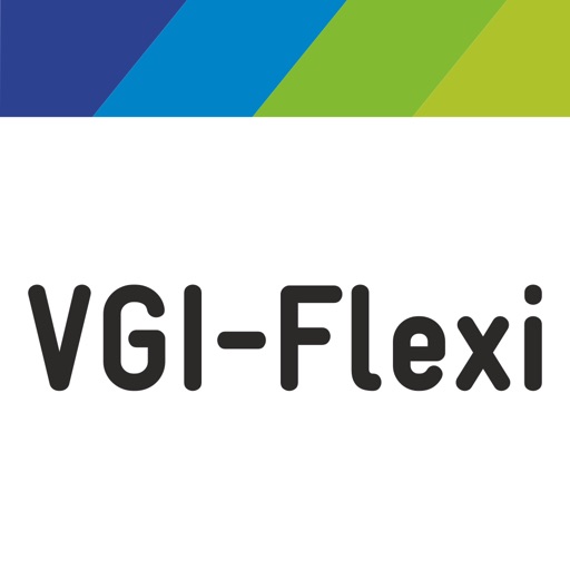 VGI-Flexi VGI-Flexi