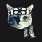 Karate Cats Gifs