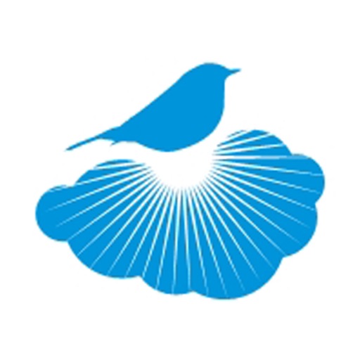 Careline Solutions Careline Solutions