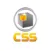 Cornerstone Staffing Solutions