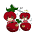 Cherry Cherry