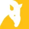 Tapir - Capture the moment and share videos