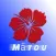 Matou Samoan Language