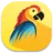 بیزیم طوطی