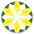 زرین سهام سبز