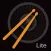 PLAYBACK With Metronome (Lite)