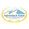 Adirondack Assist