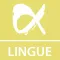 AlphaTest Lingue