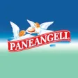 RICETTARIO PANEANGELI RICETTARIO PANEANGELI