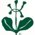 Il Cammino del Parco