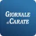 Il Giornale di Carate