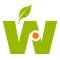Easy Work Service Serramenti