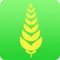 iBrewer Kit