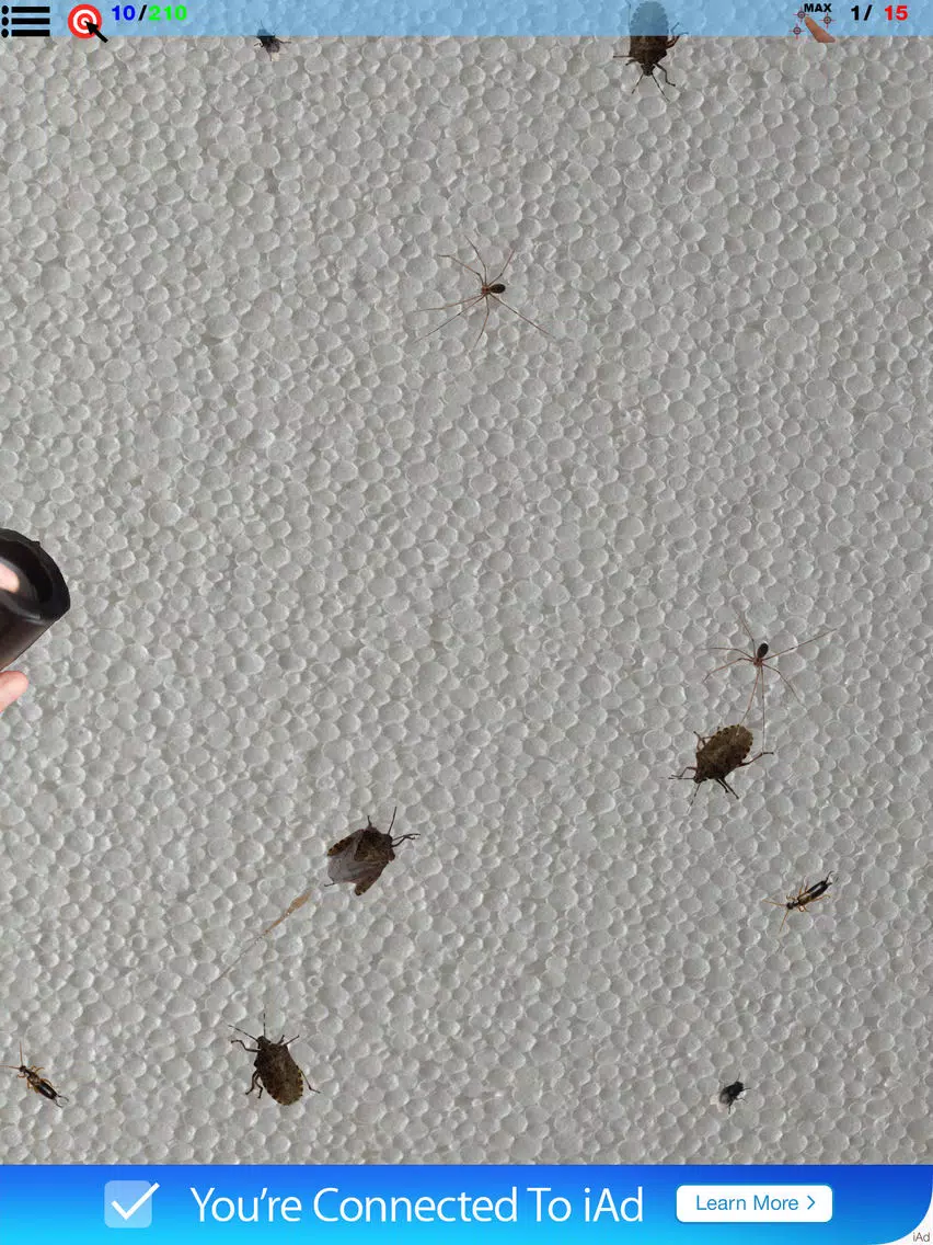 Bytesects Real insects ants smasher game and screen saver kids game iPad Screenshots