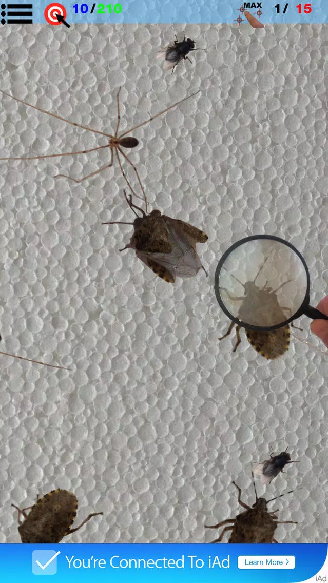 Bytesects Real insects ants smasher game and screen saver kids game Screenshots