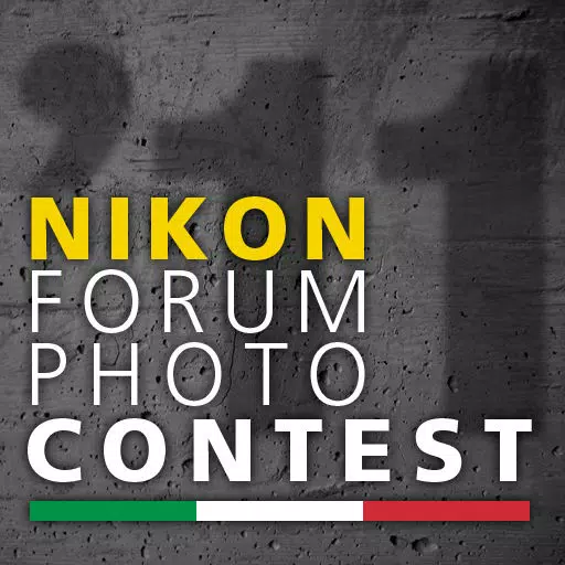 Nikon Forum Photo Contest - 2011 Nikon Forum Photo Contest - 2011