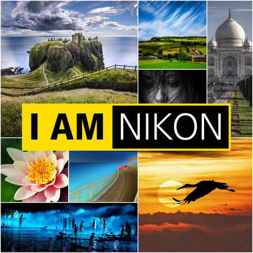 Nikon Art Nikon Art