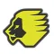 Lion Team
