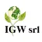 IGW